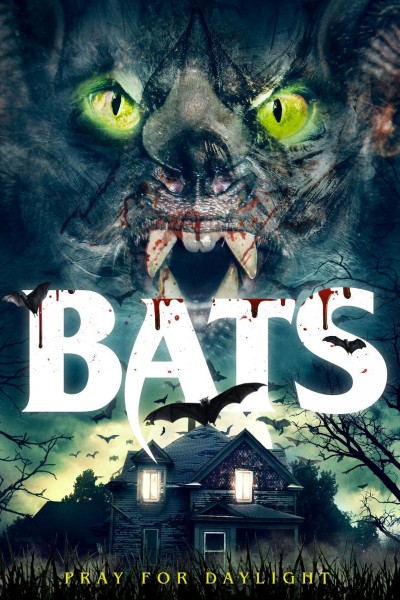 Caratula, cartel, poster o portada de Bats: The Awakening