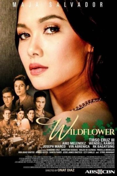 Caratula, cartel, poster o portada de Wildflower