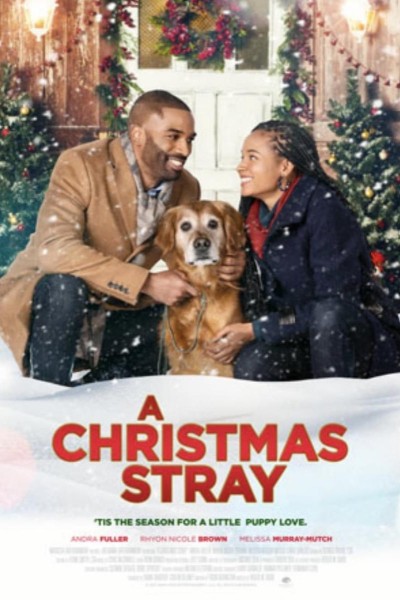 Caratula, cartel, poster o portada de A Christmas Stray
