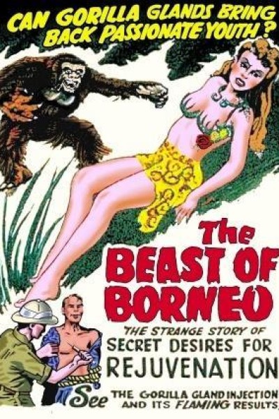 Caratula, cartel, poster o portada de The Beast of Borneo