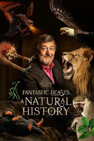 Caratula, cartel, poster o portada de Animales fantásticos: Una historia natural