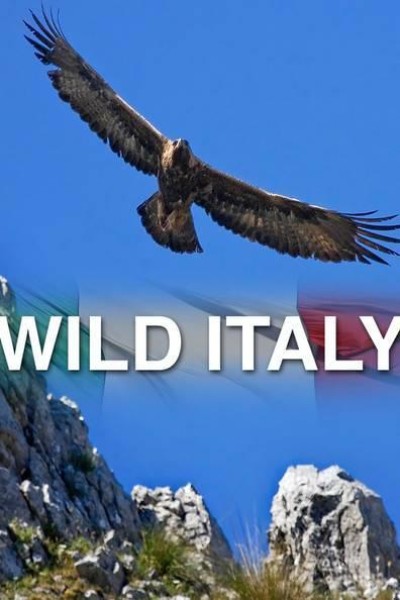 Caratula, cartel, poster o portada de Wild Italy