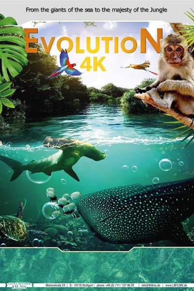 Caratula, cartel, poster o portada de Evolution
