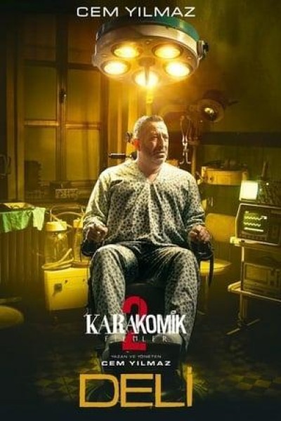 Caratula, cartel, poster o portada de Karakomik Filmler: Deli