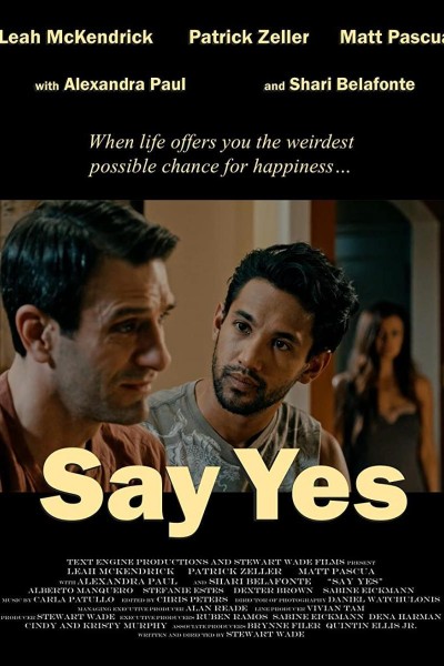 Caratula, cartel, poster o portada de Say Yes