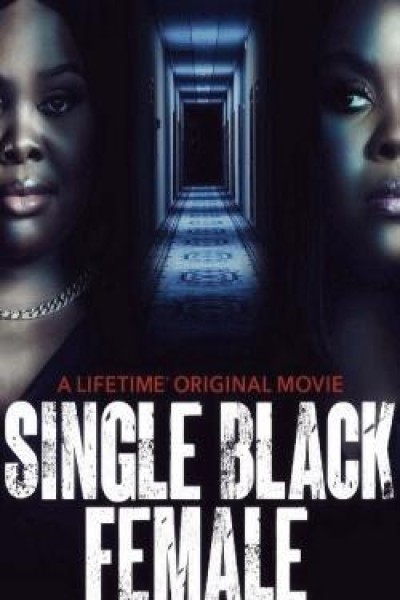 Caratula, cartel, poster o portada de Single Black Female