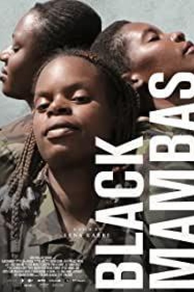 Caratula, cartel, poster o portada de Black Mambas