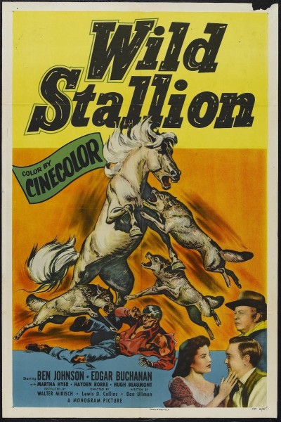 Caratula, cartel, poster o portada de Wild Stallion
