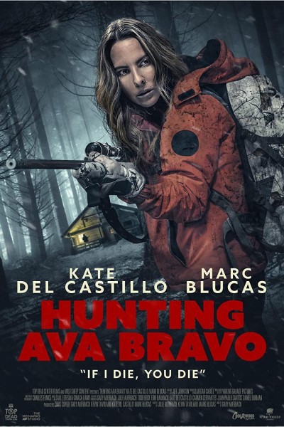 Caratula, cartel, poster o portada de Cazando a Ava Bravo