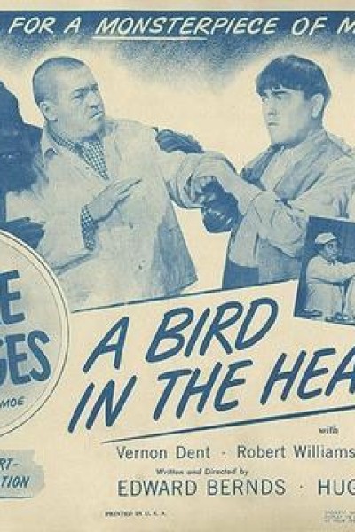 Caratula, cartel, poster o portada de A Bird in the Head (AKA The Three Stooges: A Bird in the Head)