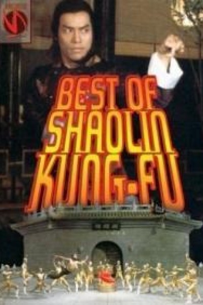 Caratula, cartel, poster o portada de The Best of Shaolin Kung Fu