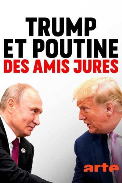 Caratula, cartel, poster o portada de Una fraternal enemistad: Trump y Putin