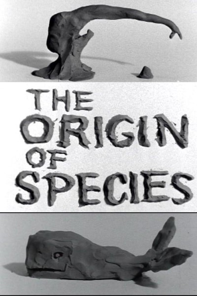 Caratula, cartel, poster o portada de Clay or the Origin of Species