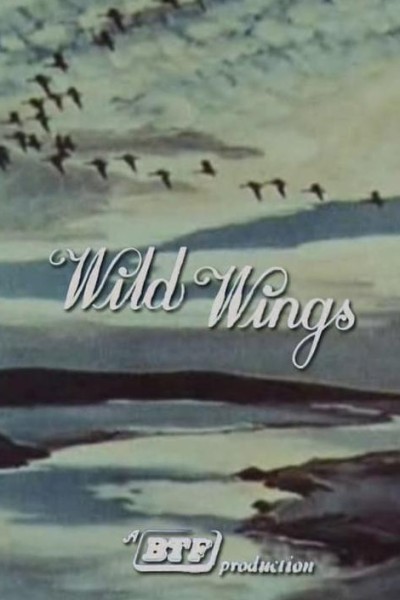 Cubierta de Wild Wings