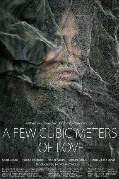 Caratula, cartel, poster o portada de A Few Cubic Meters of Love