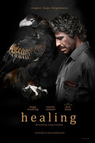 Caratula, cartel, poster o portada de Healing