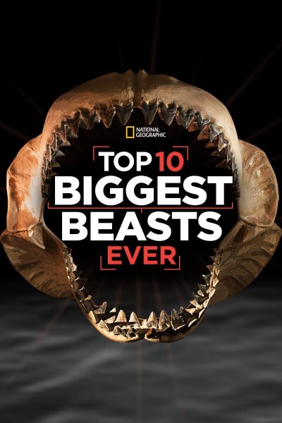 Caratula, cartel, poster o portada de Top 10 Biggest Beasts Ever