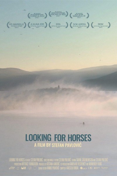 Cubierta de Looking for Horses