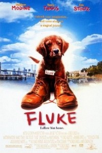 Caratula, cartel, poster o portada de Mi amigo Fluke