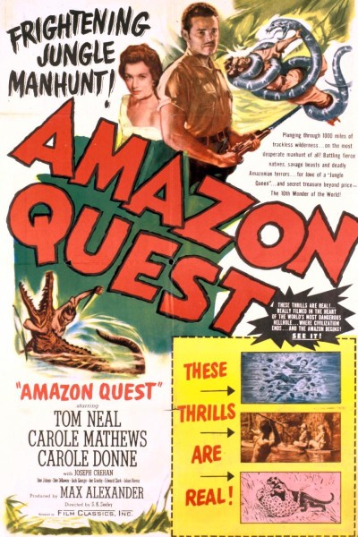 Caratula, cartel, poster o portada de Amazon Quest
