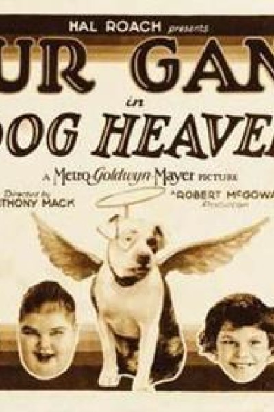 Caratula, cartel, poster o portada de Dog Heaven