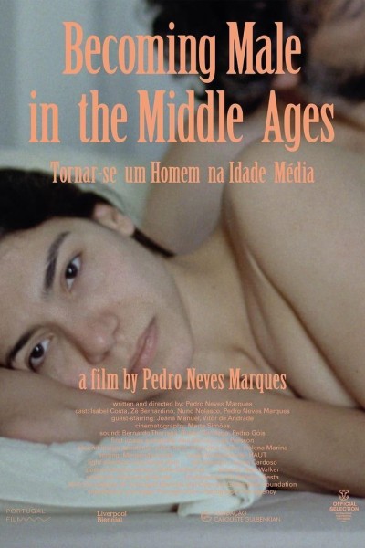 Caratula, cartel, poster o portada de Becoming Male in the Middle Ages