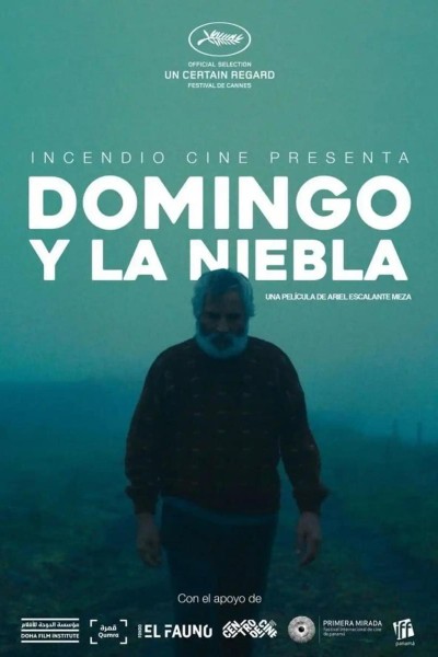 Caratula, cartel, poster o portada de Domingo y la niebla