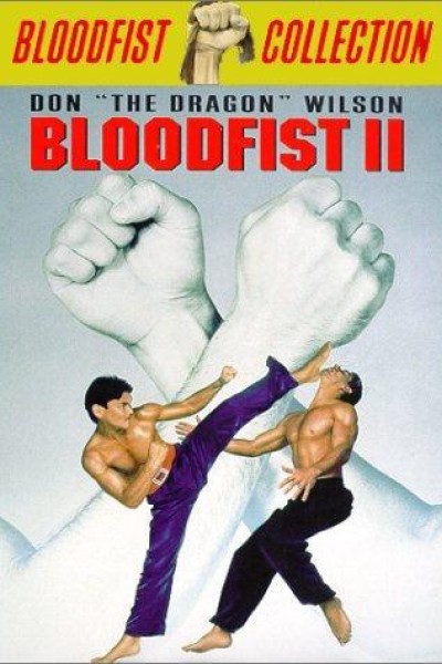Caratula, cartel, poster o portada de Bloodfist 2