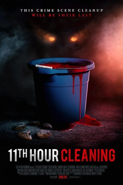 Caratula, cartel, poster o portada de 11th Hour Cleaning