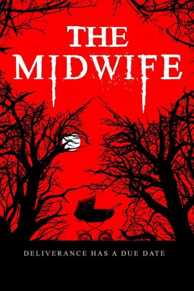 Caratula, cartel, poster o portada de The Midwife