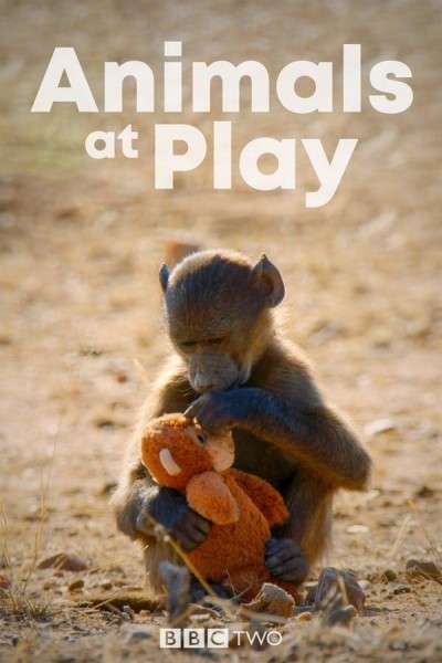 Caratula, cartel, poster o portada de Animals at Play