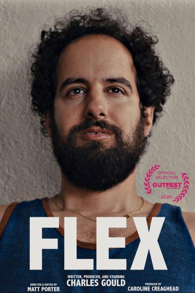 Caratula, cartel, poster o portada de Flex