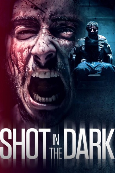 Caratula, cartel, poster o portada de Shot in the Dark