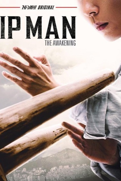 Caratula, cartel, poster o portada de Ip Man: The Awakening