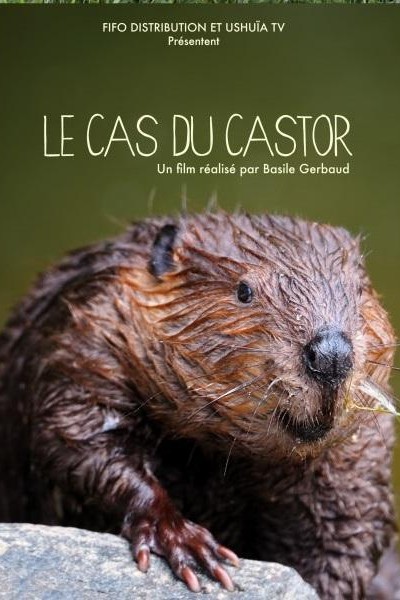 Caratula, cartel, poster o portada de Le cas du castor