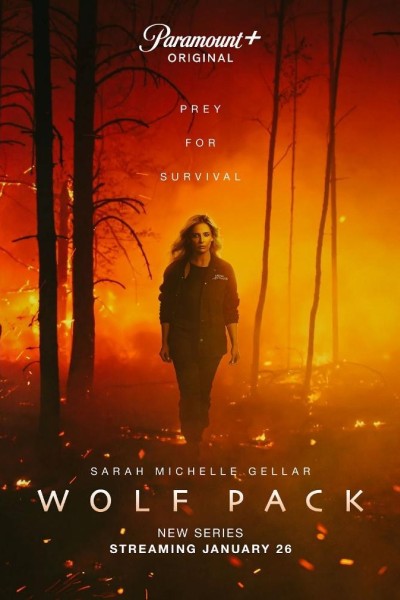 Caratula, cartel, poster o portada de Wolf Pack