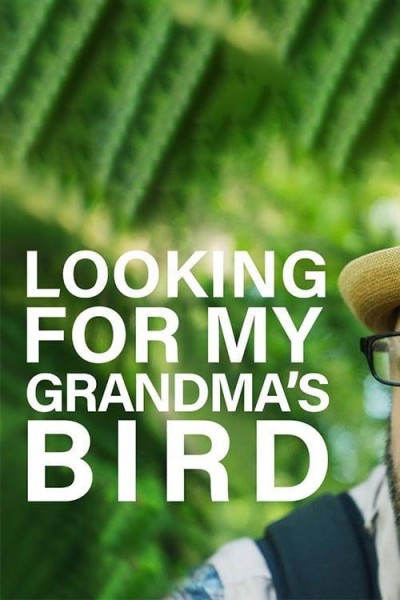 Cubierta de Looking for My Grandma\'s Bird