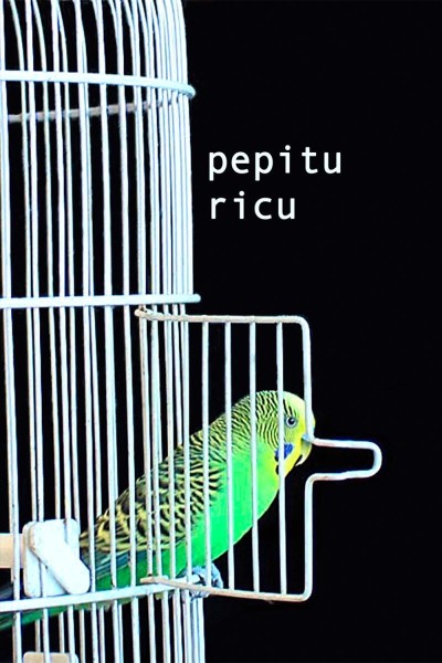 Cubierta de Pepitu Ricu