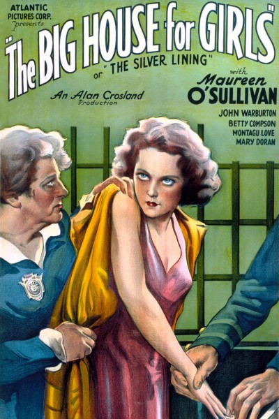 Caratula, cartel, poster o portada de The Silver Lining