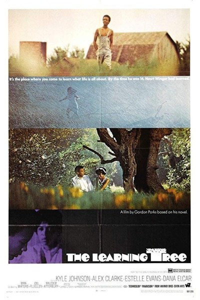 Caratula, cartel, poster o portada de The Learning Tree