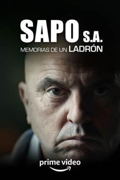 Caratula, cartel, poster o portada de Sapo S.A. Memorias de un ladrón