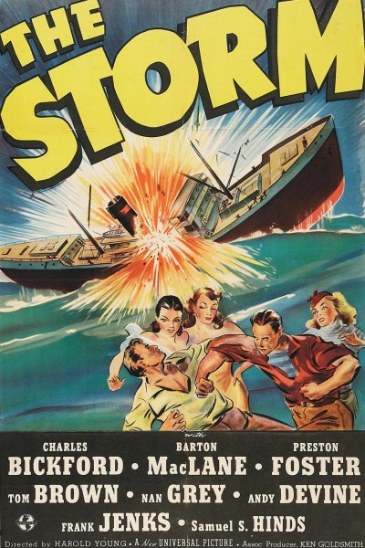 Caratula, cartel, poster o portada de The Storm