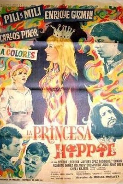 Caratula, cartel, poster o portada de Princesa y vagabunda