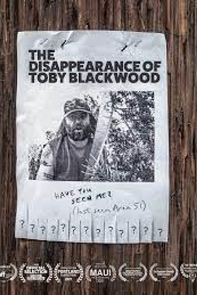 Caratula, cartel, poster o portada de The Disappearance of Toby Blackwood