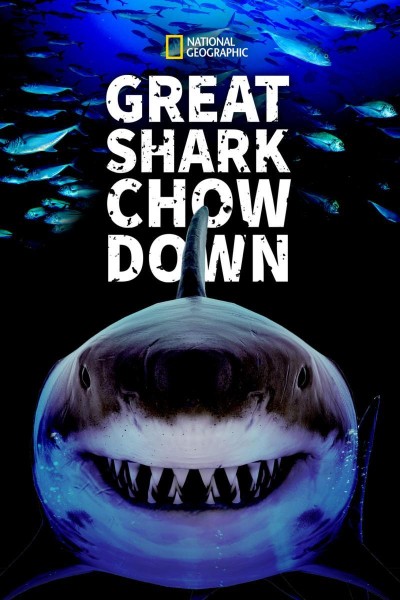 Caratula, cartel, poster o portada de El show del gran tiburón