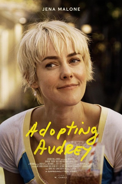 Caratula, cartel, poster o portada de Adopting Audrey