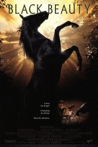 Caratula, cartel, poster o portada de Belleza negra (Un caballo llamado Furia)