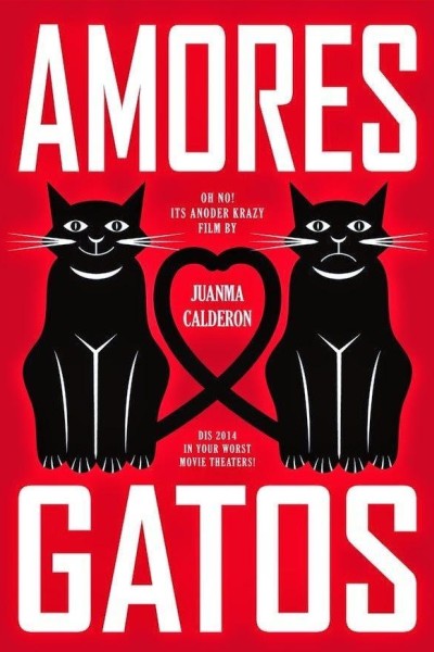 Caratula, cartel, poster o portada de Amores gatos