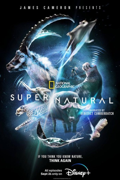 Caratula, cartel, poster o portada de Super/Natural