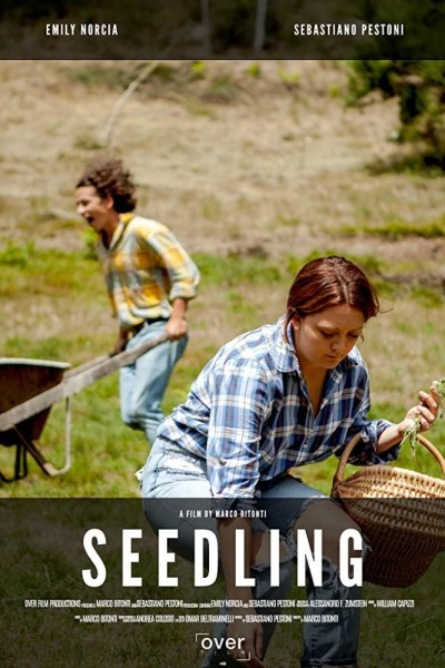 Caratula, cartel, poster o portada de Seedling